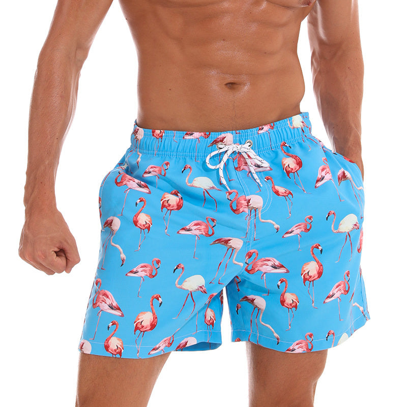 Beach shorts man - Kng inc. ®